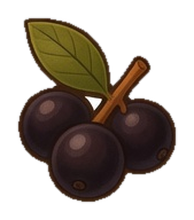 Jabuticaba — peça do cerrado no jogo Tatu Tatu